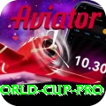 1992 world cup - Live Ultimate