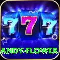 andy flower Deluxe v3.9.0
