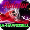 antigua hawksbill Plus Pro v3.2.7