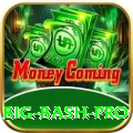 big bash - Casino Pro