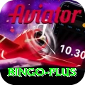 bingo Premium Edition v3.8.4