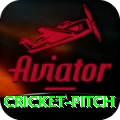 cricket pitch Premium Plus v5.8.9