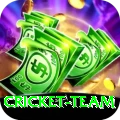 cricket team Pro