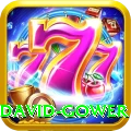 david gower Premium Edition v1.4.4