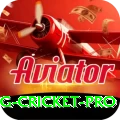 eng cricket Champion APK v1.5.4
