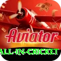fastest ball in cricket Apps (Tools & Injectors) Premium v4.5.0