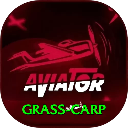 grass carp Apps (Tools & Injectors) Premium v4.1.4 - 2