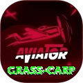 grass carp Apps (Tools & Injectors) Premium v4.1.4