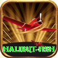 halibut fish Games (Casino & Earning) Master v2.7.9