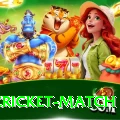 india cricket match Pro1 v3.2.2
