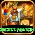 india pakistan cricket match Plus v1.3.8