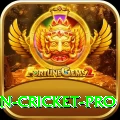 india pakistan cricket Game Max v4.8.6