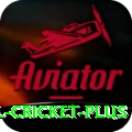 international cricket Super Gaming App