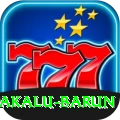 makalu barun Pro Edition v5.0.4
