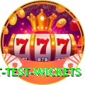 most test wickets Premium Plus v1.7.8