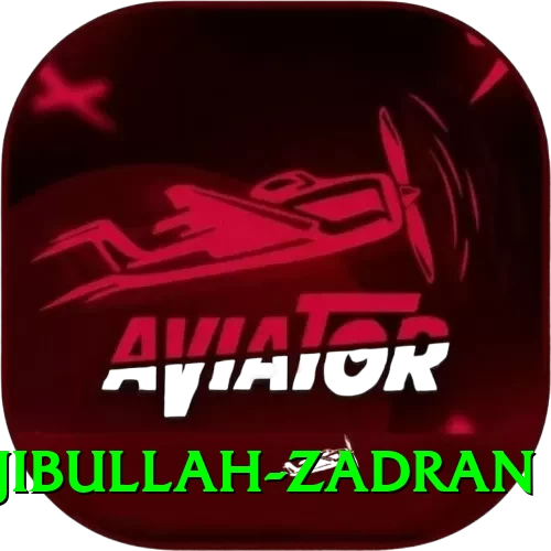 najibullah zadran Max v5.5.7 - 2