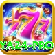 Naya24 Casino Premium v2.8.5