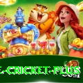 one cricket Turbo v1.3.3