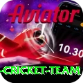 pakistan women cricket team Apps (Tools & Injectors) Plus v5.9.1