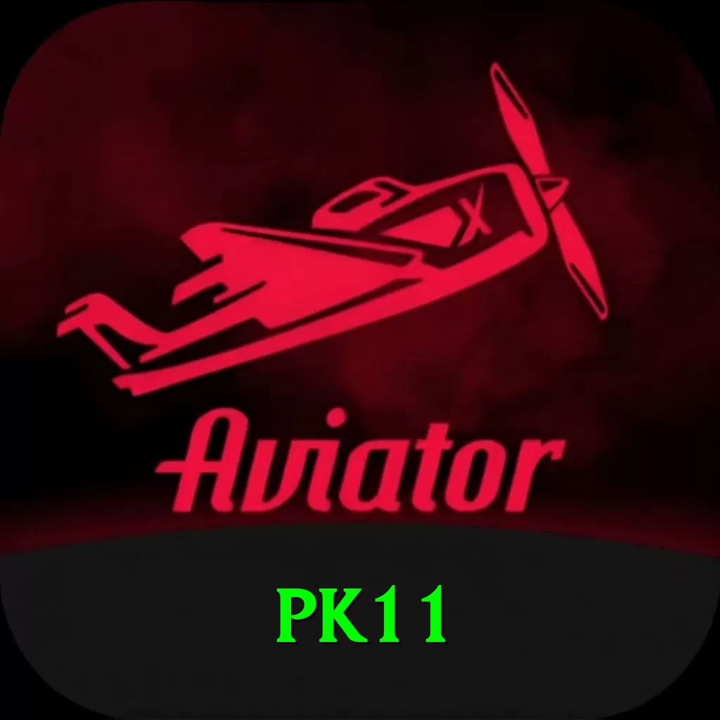 pk11 Plus v2.8.0 - 2