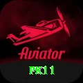 pk11 Plus v2.8.0