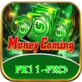 pk11 Live Turbo v2.3.2