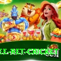 risk free bet cricket Turbo Pro v2.7.0