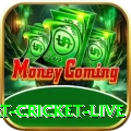 smart cricket live Ultimate Pro v4.8.3