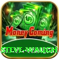 steve waugh Ultimate Pro v3.3.8