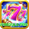 t20 match schedule Deluxe Latest v2.3.6