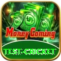 test cricket Master v5.6.8