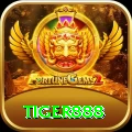 tiger888 Games (Casino & Earning) Deluxe vv1.0.5