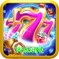 wasim Pro1 v4.7.5