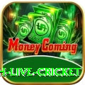 watch live cricket Pro1 v1.2.7