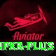 winpkr Plus Edition vv1.0.3