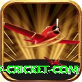 www cricket com Deluxe Pro v2.8.8